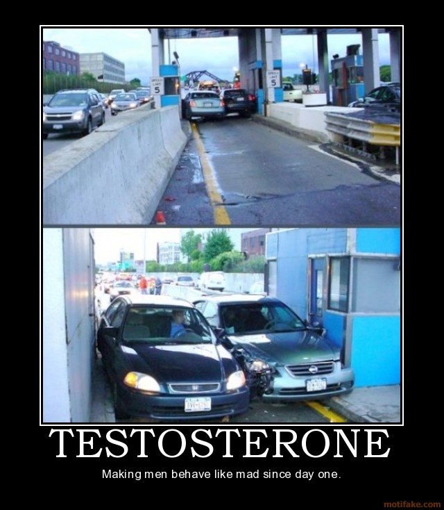 01_testosterone.jpg