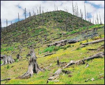 20080318_deforestaion_in_Yunnan.jpg