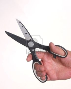 5501027_hand_holding_scissors_against_a_white_background.jpg