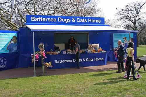 Battersea_dogs.jpg