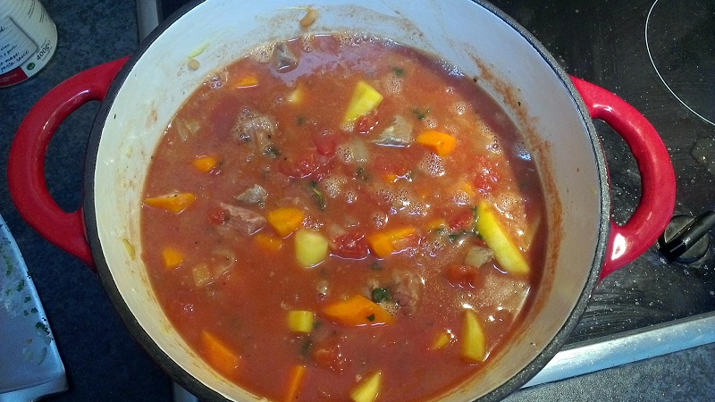 Beef_Stew_07_07_2012.jpg