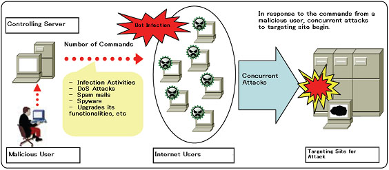 BotNetwork.jpg