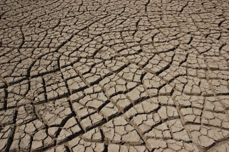 Cracked_earth_in_the_Rann_of_Kutch.jpg