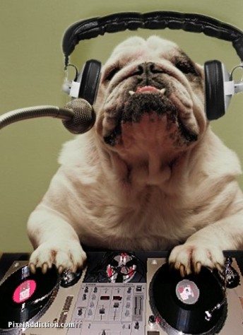 DJ_Dog___The_Barking_Beats_2_1.jpg