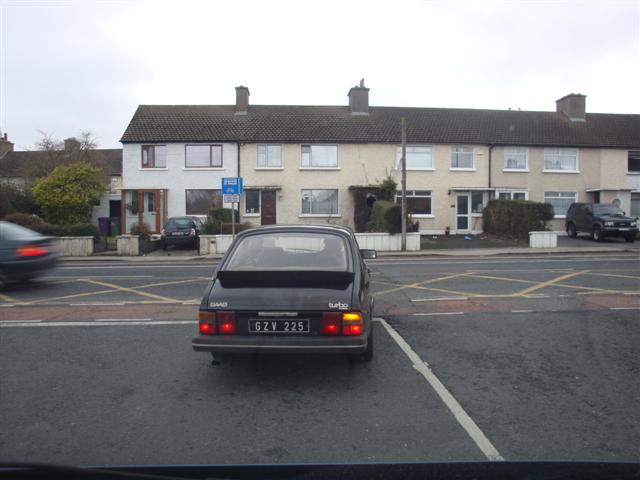 DSC01239_Small.jpg