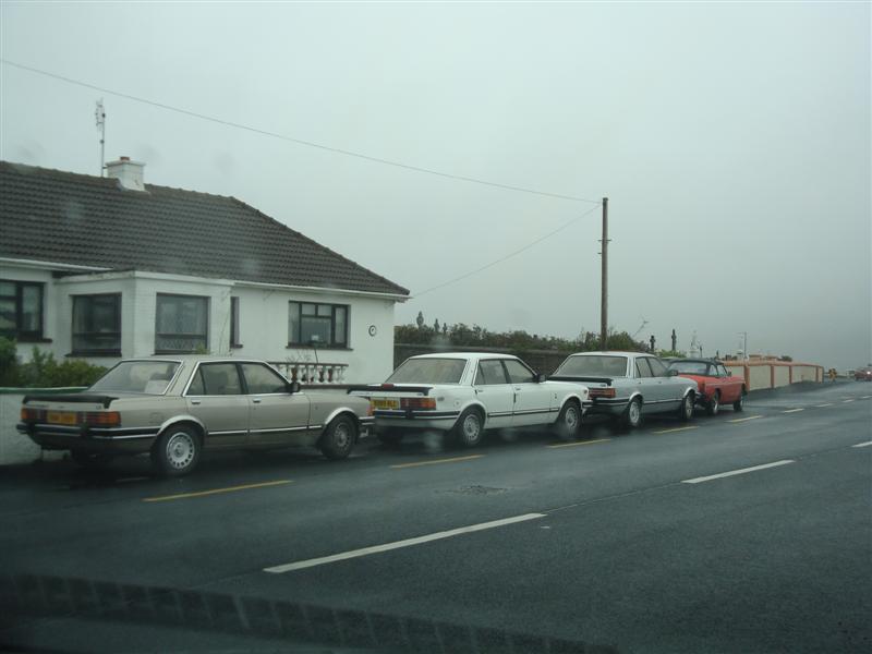 DSC02184_Medium.jpg