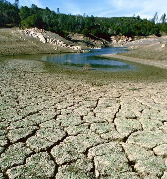 Dried_Up_Lake_1.jpg