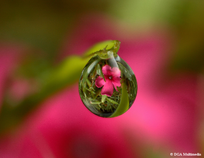 Droplet_DMC_2472.jpg