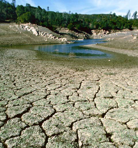 Drought_pic_17.jpg