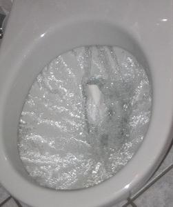 Flushing_toilet.jpg