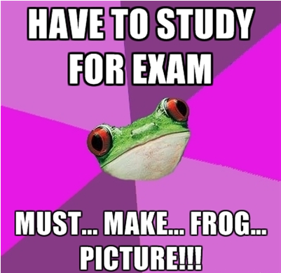 Frog_picture.png