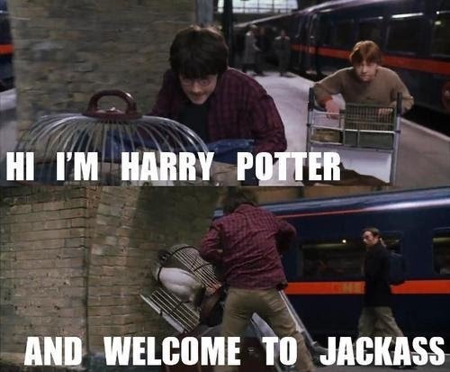 Hi_Im_Harry_Potter_And_Welcome_To_Jackass.jpg