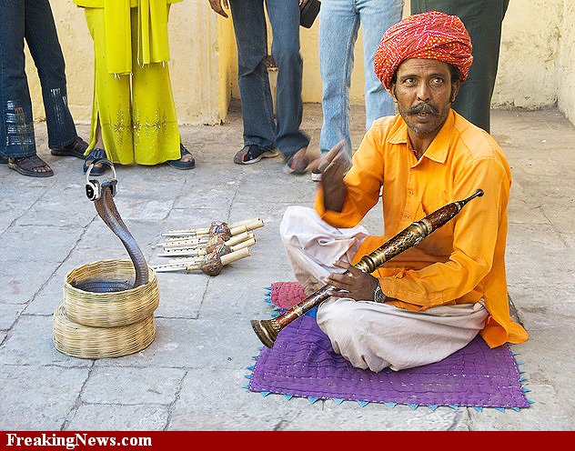 Jug_Snake_Charmer__39014.jpg