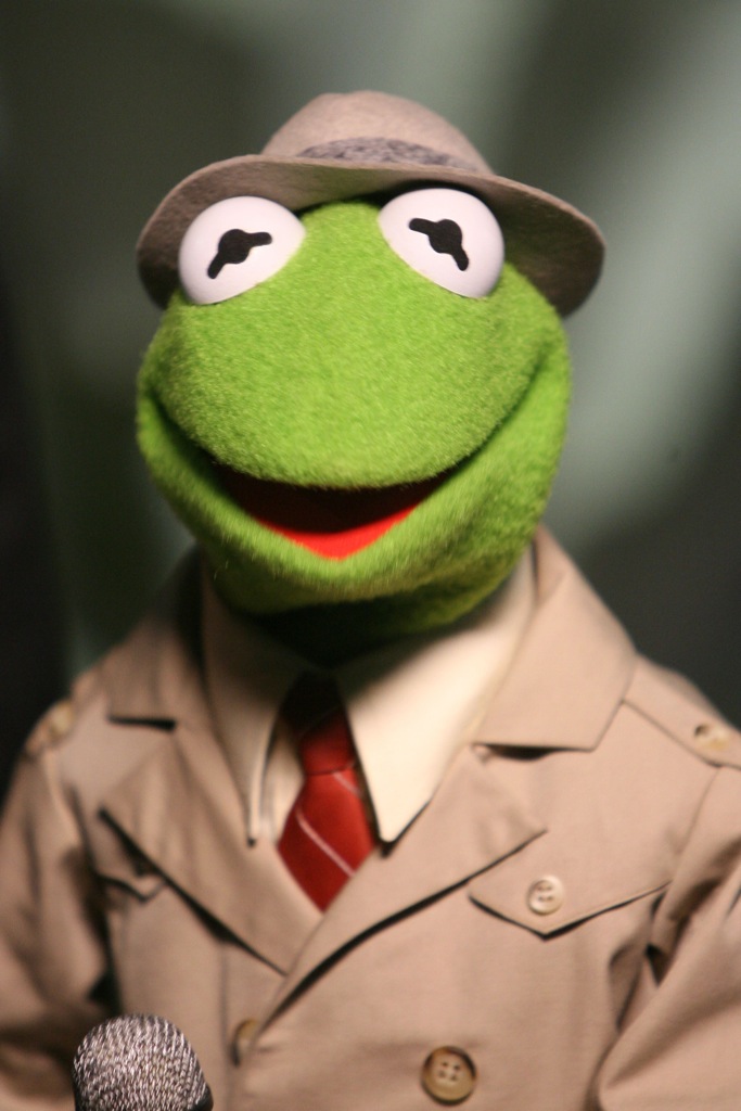 Kermit_Reporter.jpg