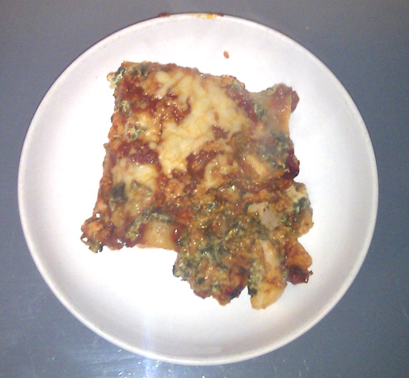 Lasagne_Slice___20120304.jpg