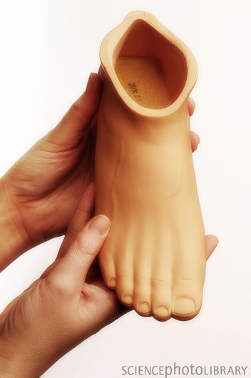 M6100100_Prosthetic_foot_SPL.jpg