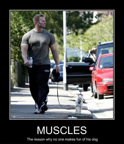 Muscles.jpeg