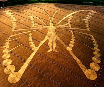 Netherlands_Butterfly_Metamorphosis_Transformation_Crop_Circle.jpg