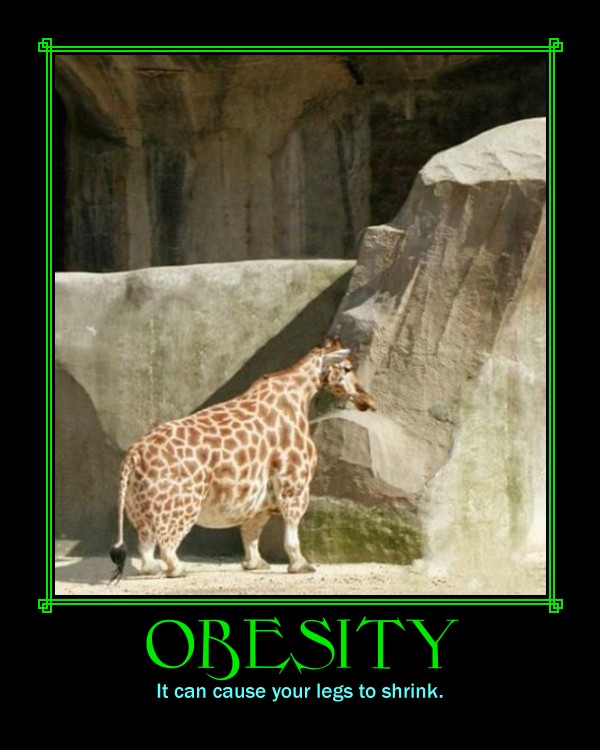 Obesity.jpg