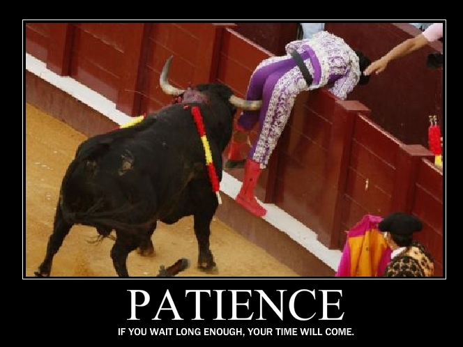 Patience_1.jpg