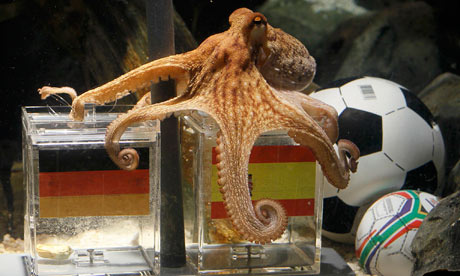 Paul_the_psychic_octopus_006_1.jpg