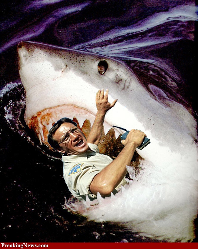 Roy_Scheider_in_Jaws.jpg