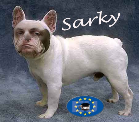 SARKY.jpg