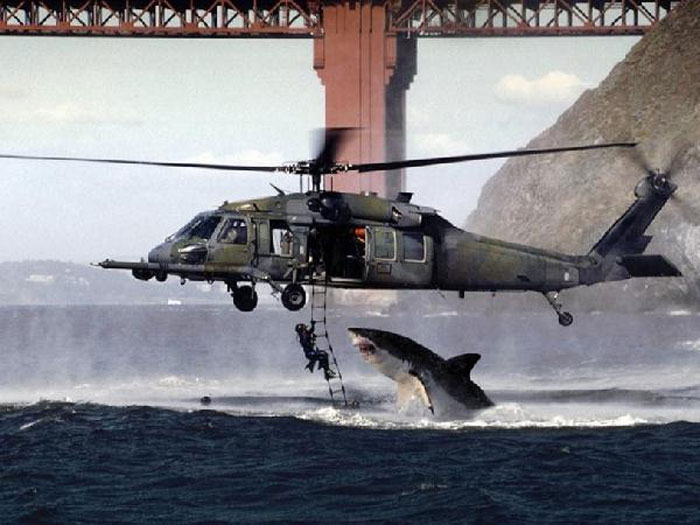 SharkHelicopter_001.jpg