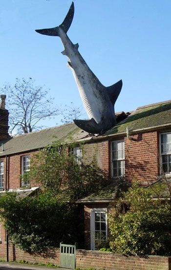 Shark_in_roof_of_a_house.jpg