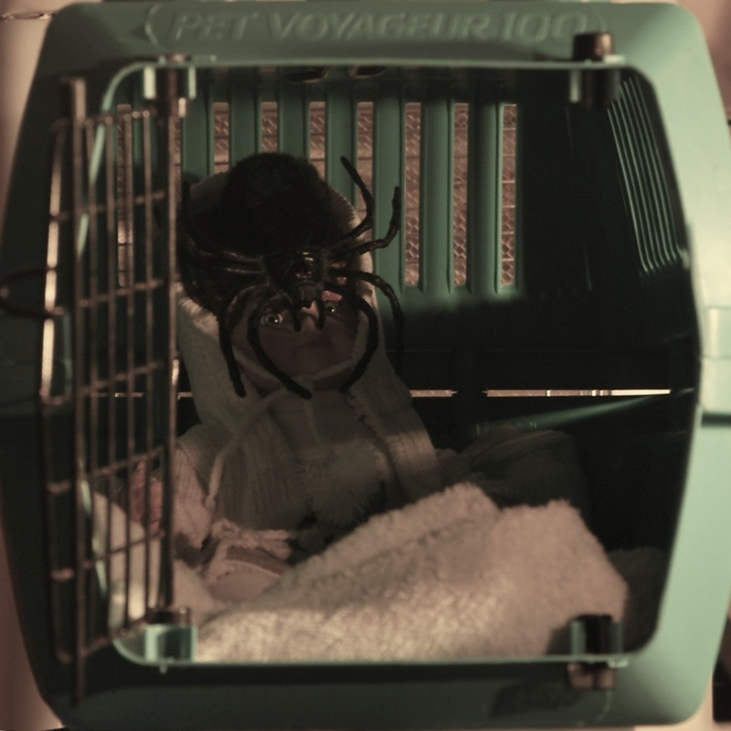 SpiderBaby_03_1.jpg