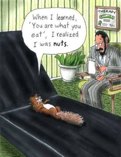 Squirrel_Therapy.jpg