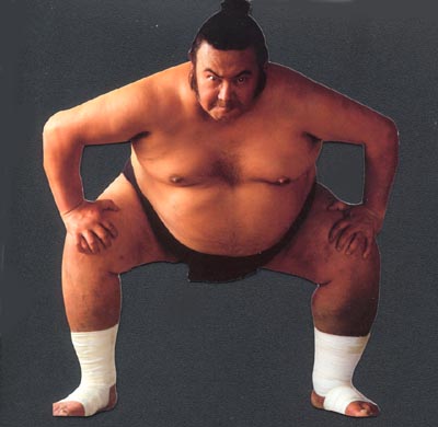 Sumo_Wrestlers_Photos_18.jpg