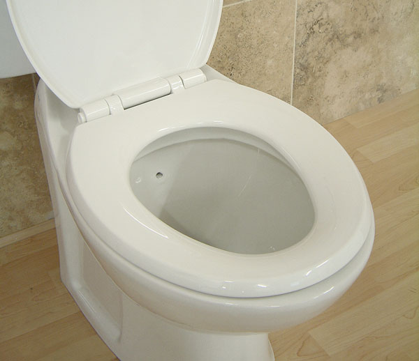 Toiletseat.jpg