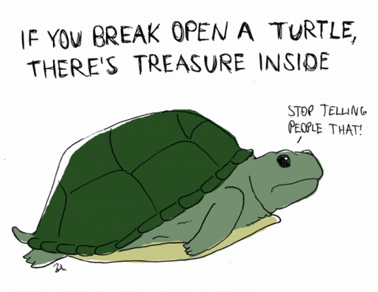 Turtle.jpg