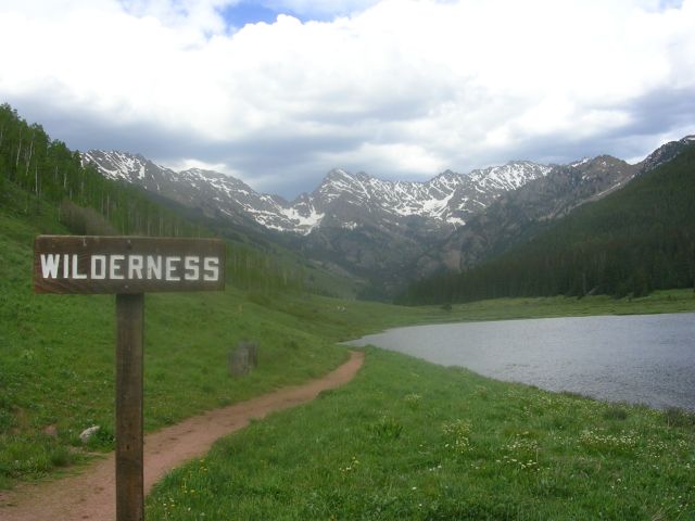 Wilderness.jpg