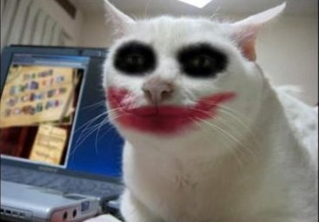 YSOSRS_joker_cat.jpg