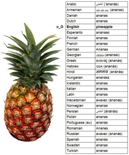 ananas.jpg