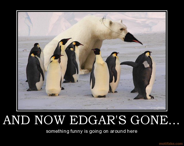 and_now_edgars_gone_penguin_polar_bear_disguise_demotivational_poster_1249129797.jpg