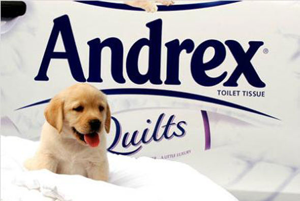 andrex.jpg