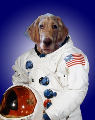 astronaut_blue_dog_freeman2_1.jpg