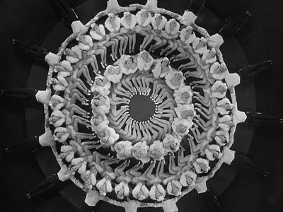 b_Lloyd_Bacon_42nd_Street_Busby_Berkeley_DVD_PDVD_000.jpg