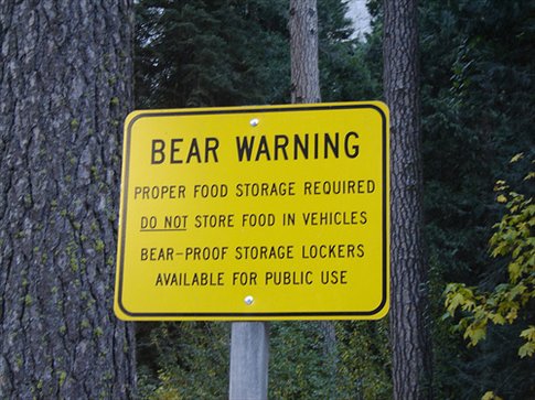 bear_warning.jpg