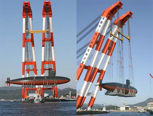 big_crane_5.jpg