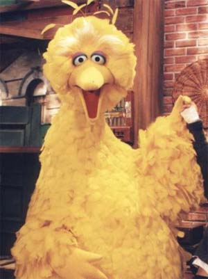 bigbird.gif