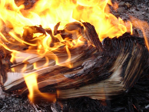 burning_paper_1898680_by_stockproject1_d36cjgo.jpg