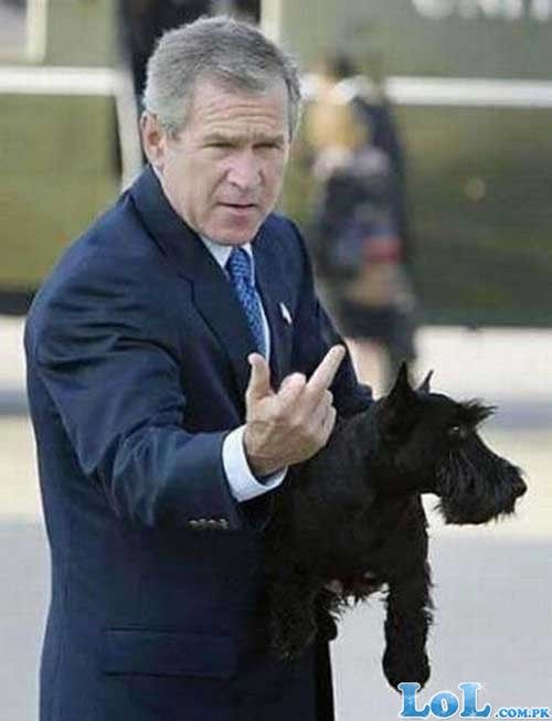 bush_finger_1.jpg