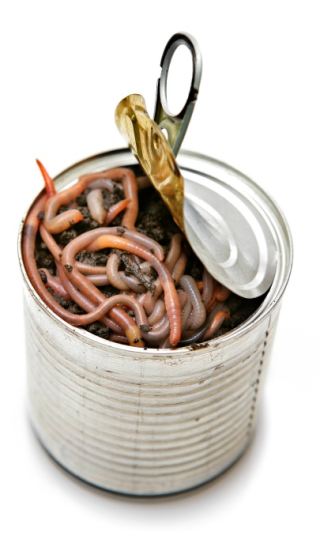can_of_worms_1.jpg