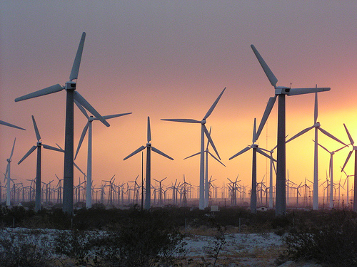 canadian_wind_farm.jpg