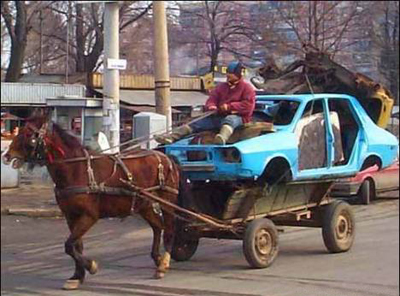 carhorse21.jpg