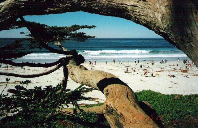 carmel_001.jpg